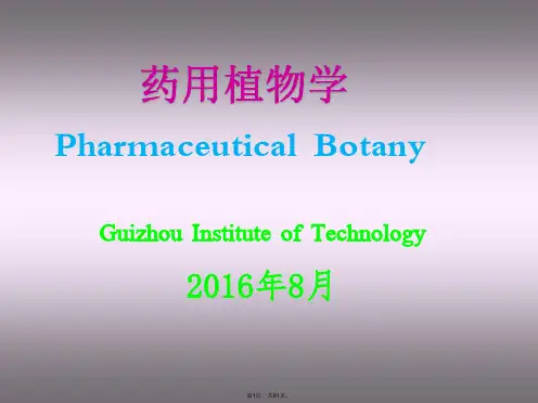 03药用植物学-第二章-植物的组织