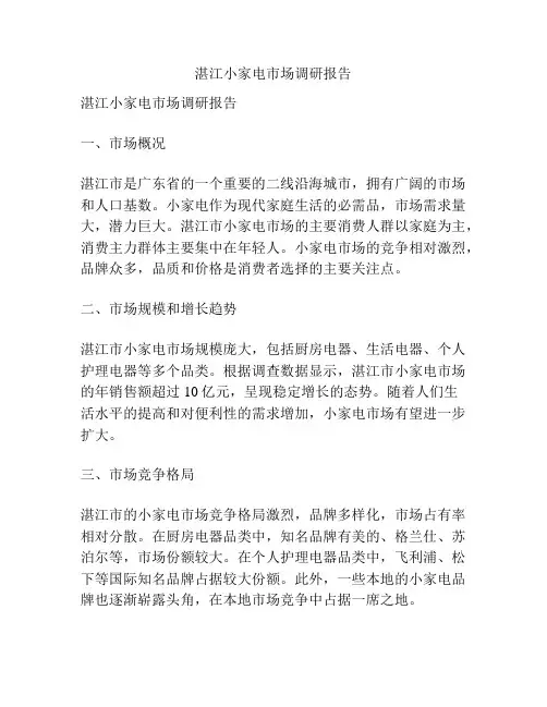 湛江小家电市场调研报告