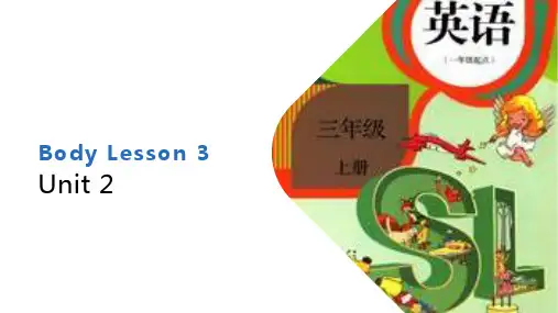 三年级上册英语人教版新起点Unit 2《My body》(Lesson 3)03 名师教学课件