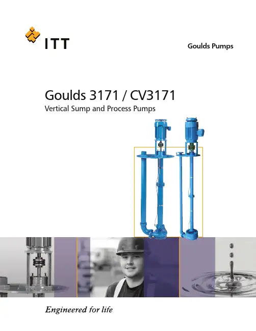 柯尔德泵公司Goulds 3171 CV3171垂直吸泡泥浆和工业泵说明书