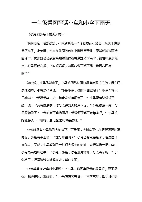 一年级看图写话小兔和小鸟下雨天
