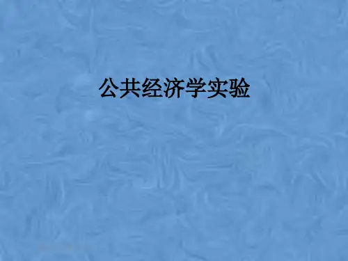 公共经济学实验