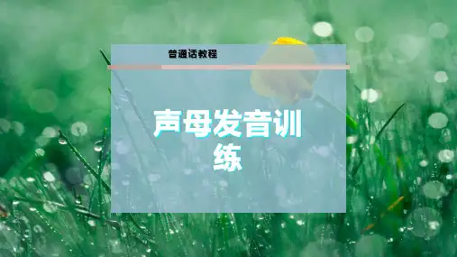 声母发音训练
