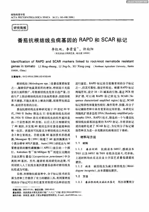 番茄抗根结线虫病基因的RAPD和SCAR标记