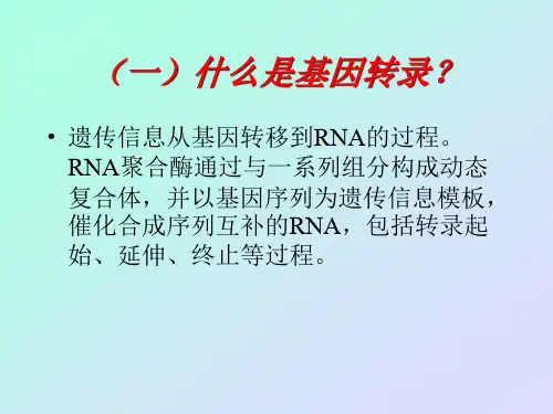 原核生物与真核生物转录时候的区别