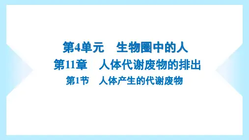 2023年北师大版七年级下册生物第11章人体代谢废物的排出第1节人体产生的代谢废物