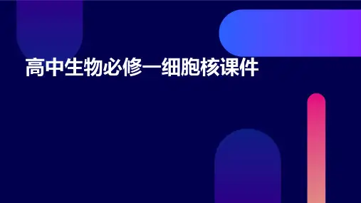 高中生物必修一细胞核课件