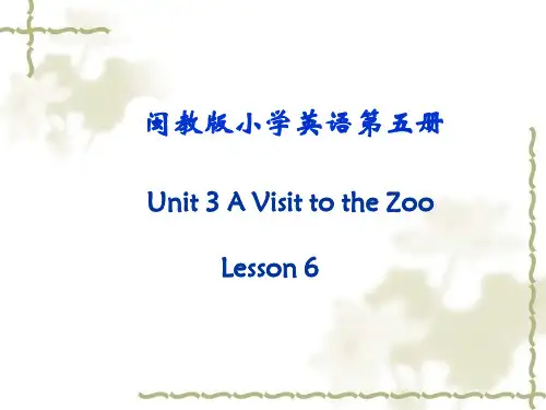 (闽教版)五年级英语上册  Unit 3 A visit to the zoo Lesson 6  教学课件