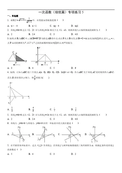 一次函数(培优篇)专项练习5 含答案