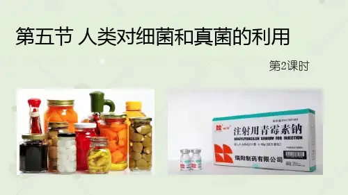 人教版生物八年级上册 5.4.5 人类对细菌和真菌的利用 第2课时 课件 (共29张PPT)