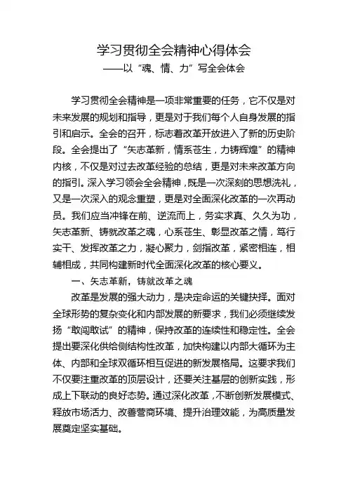 学习贯彻全会精神心得体会