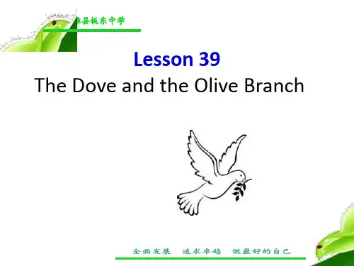 英语冀教版九年级全一册《Unit 7 Work for Peace Lesson 39 The  》课件公开课