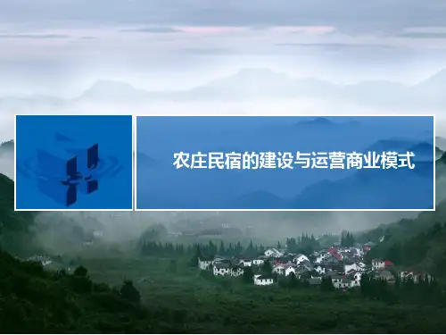 乡村振兴民宿酒店的建设与运营(ppt 27页)