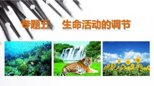 步步高2015高考生物二轮课件：专题5.3植物的激素调节