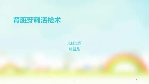 肾脏穿刺活检术的护理PPT课件