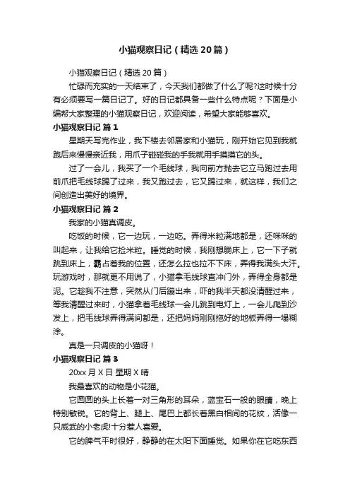 小猫观察日记（精选20篇）