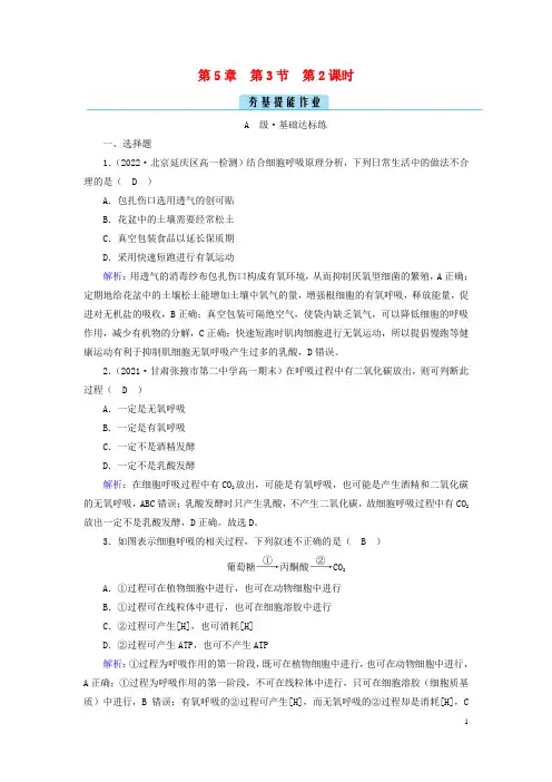 高中生物 第5章 第3节 第2课时 无氧呼吸与细胞呼吸原理的应用 夯基提能作业 新人教版必修1