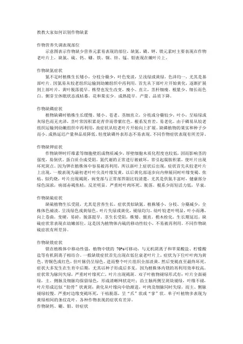 教教大家如何识别作物缺素