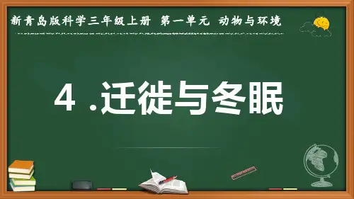 2022-2023学年新青岛版科学三年级上册《迁徙与冬眠》优质课件