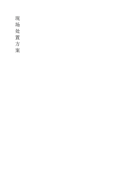 企业应急预案(现场处置方案)