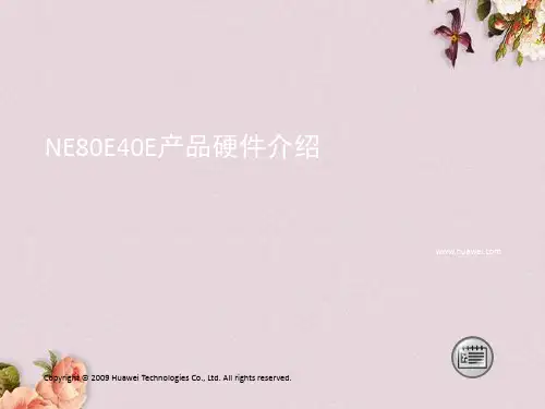 NE80E40E产品硬件介绍(PPT 34页)
