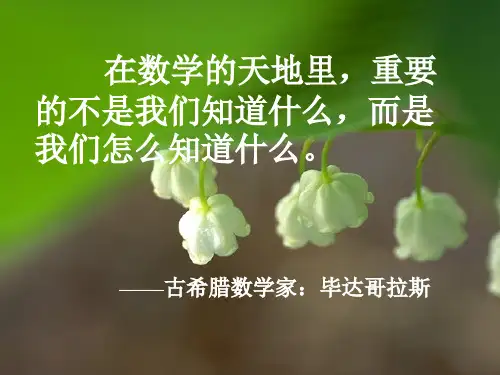 最新人教版六年级分数除法《解决问题一》