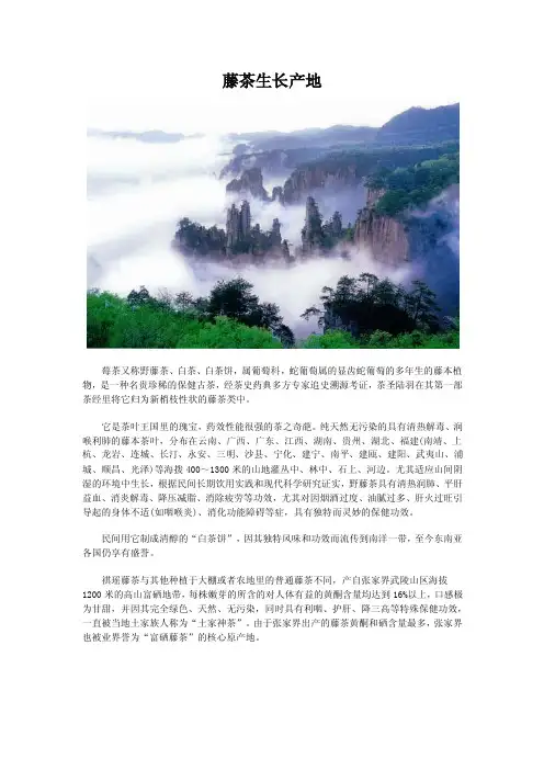 藤茶生长产地