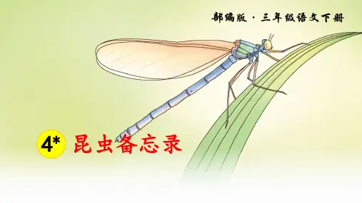 部编版小学语文三年级下册第4课《昆虫备忘录》教学课件