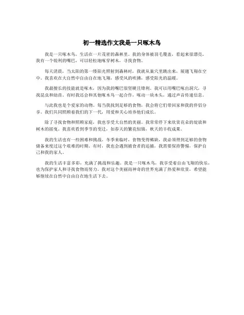 初一精选作文我是一只啄木鸟