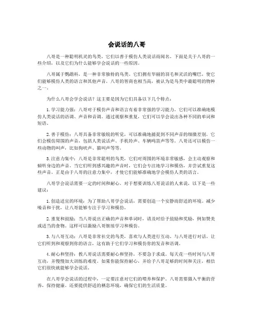 会说话的八哥