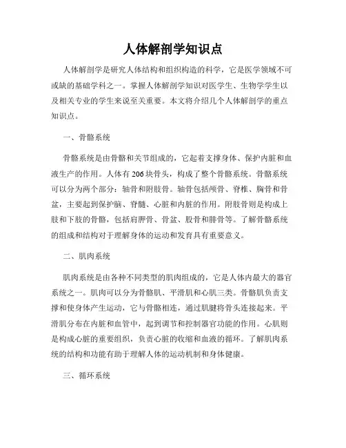 人体解剖学知识点