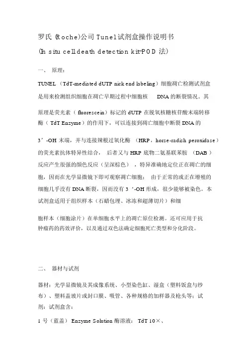 翻译好的罗氏公司Tunel试剂盒操作说明书