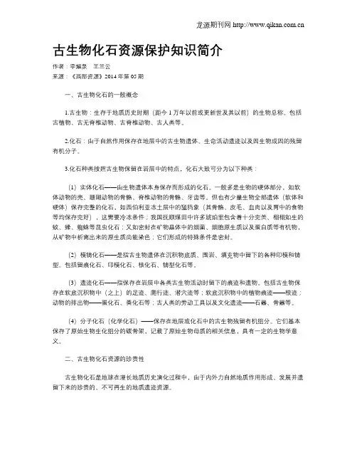 古生物化石资源保护知识简介