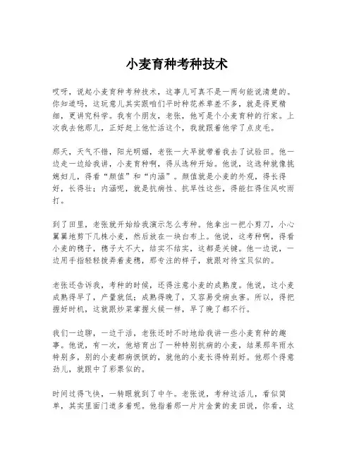 小麦育种考种技术