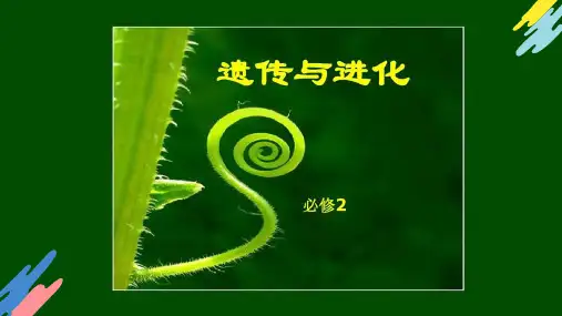 1-1孟德尔的豌豆杂交实验(一)(教学课件)—— 高中生物学人教版(2019)必修二