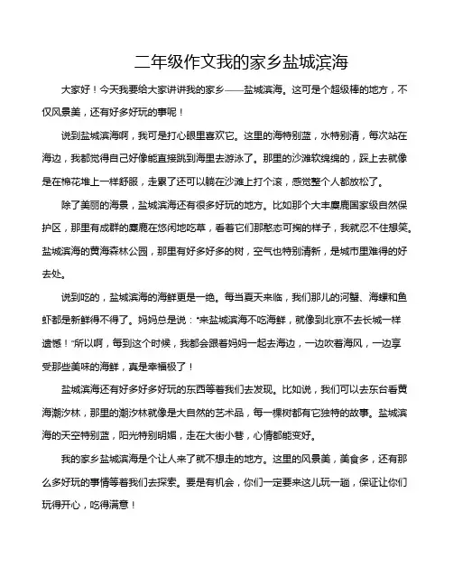 二年级作文我的家乡盐城滨海 2