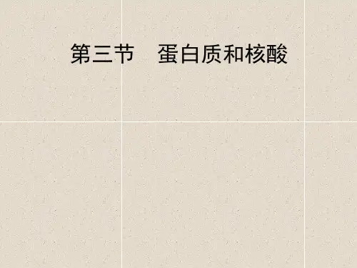 人教版高中化学第四章第三节《蛋白质和核酸》新课ppt