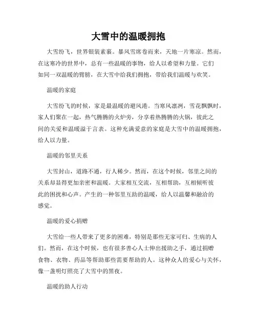 大雪中的温暖拥抱