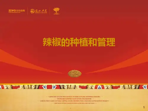 辣椒的种植和管理PPT课件