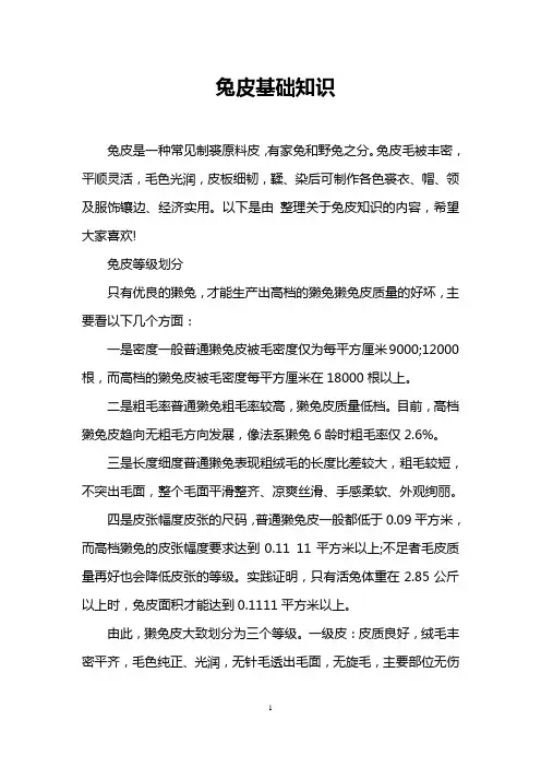兔皮基础知识