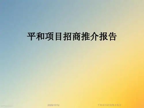 平和项目招商推介报告