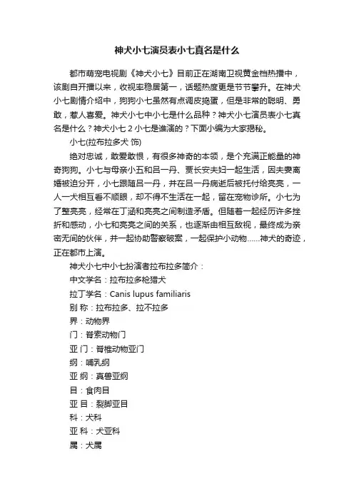 神犬小七演员表小七真名是什么