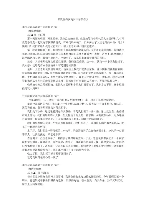 那次玩得真高兴三年级作文