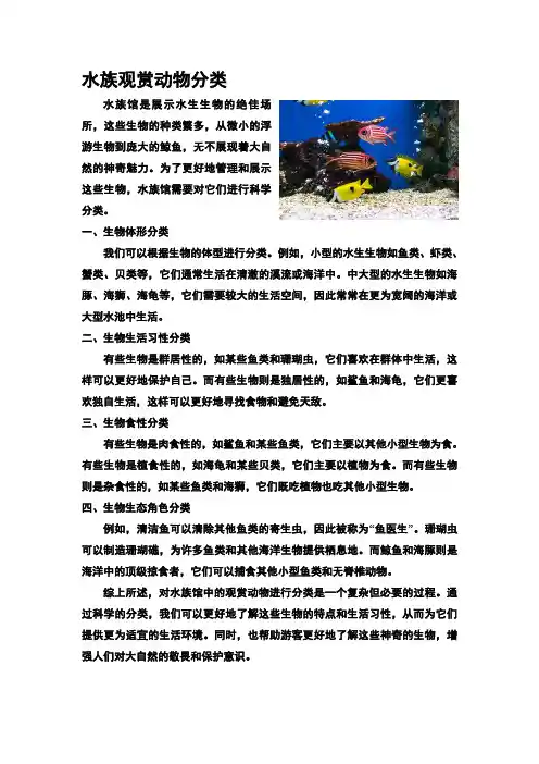 水族观赏动物分类