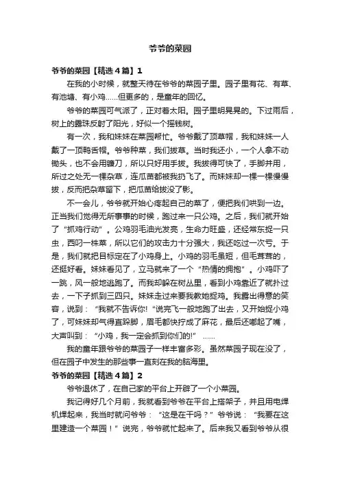 爷爷的菜园【精选4篇】