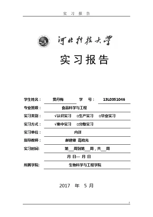 实习报告模板