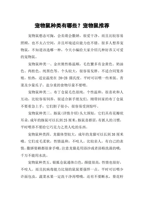 宠物鼠种类有哪些？宠物鼠推荐
