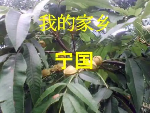 PPT介绍宁国