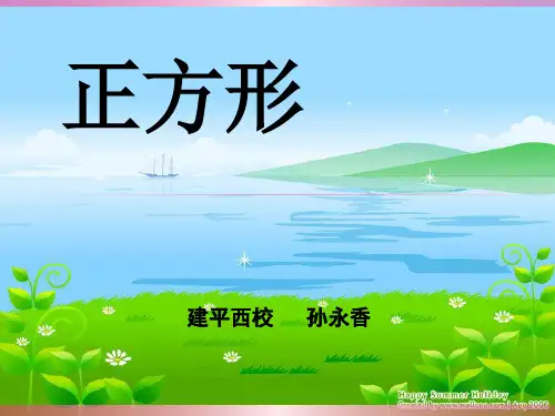 初三数学正方形专题复习课件.ppt