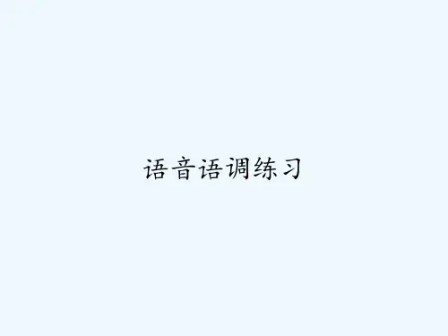 语音语调练习 PPT